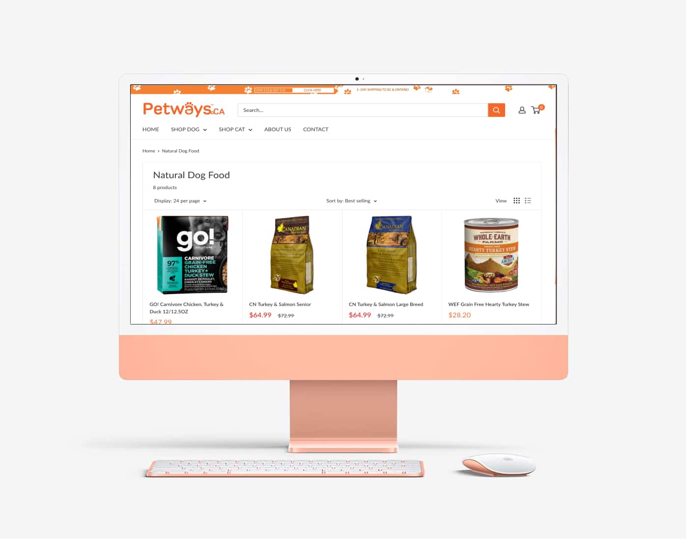 Services ecommerce - web design